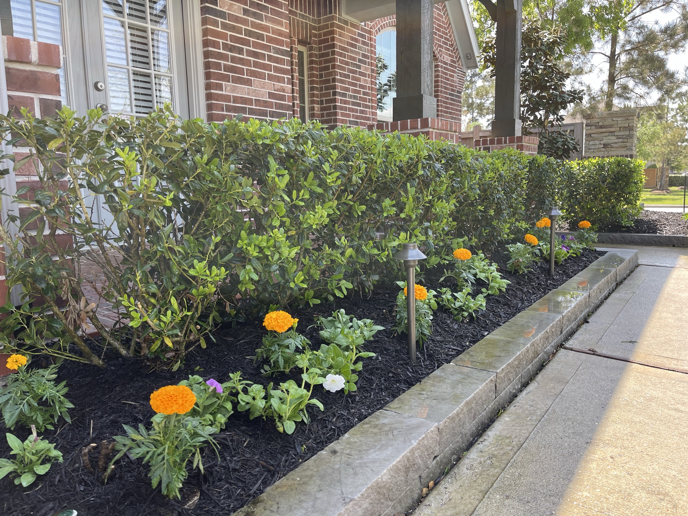 Annual planting by Danny's Landscaping