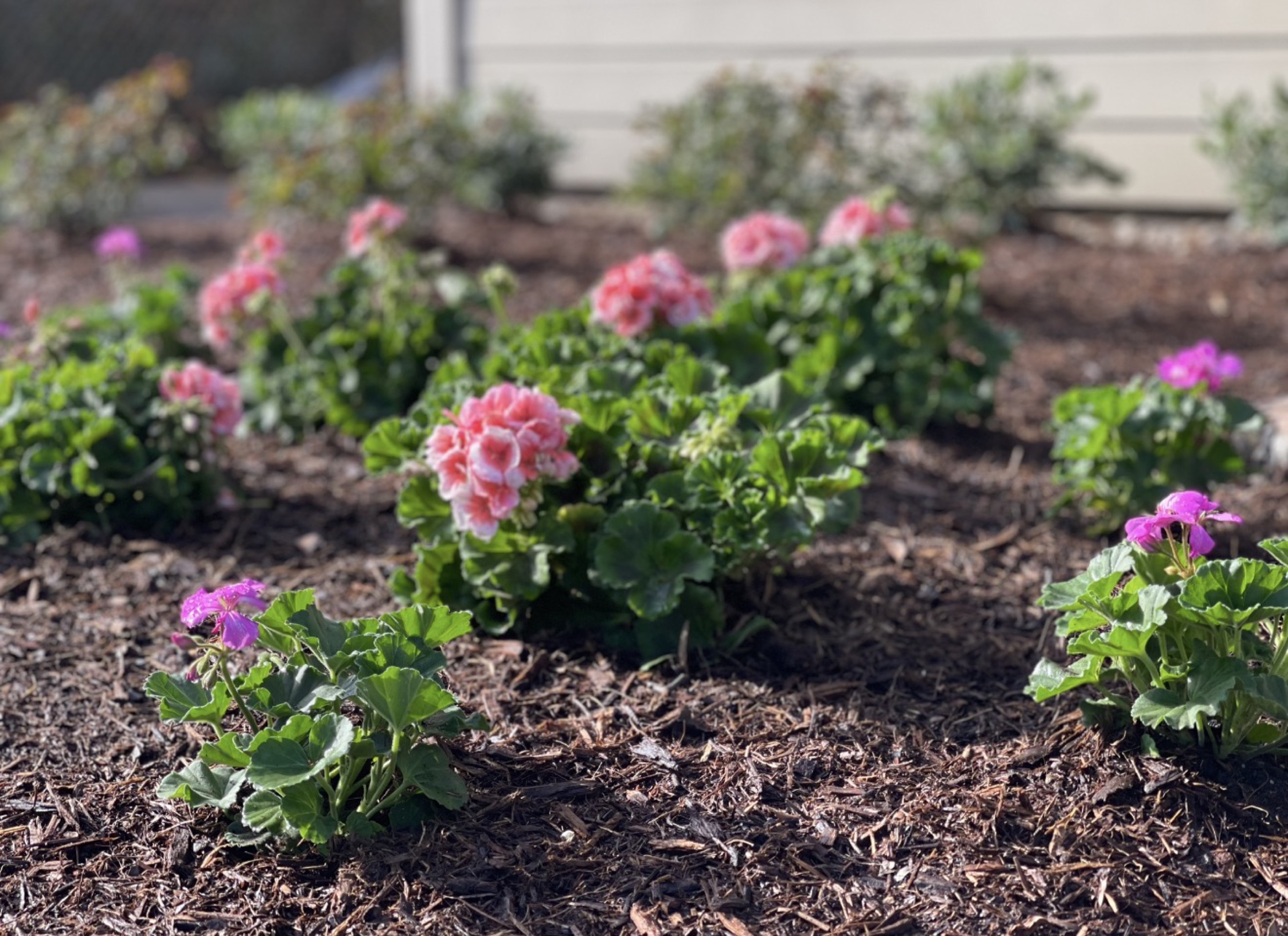 Garden decorations by Danny's Landscaping
