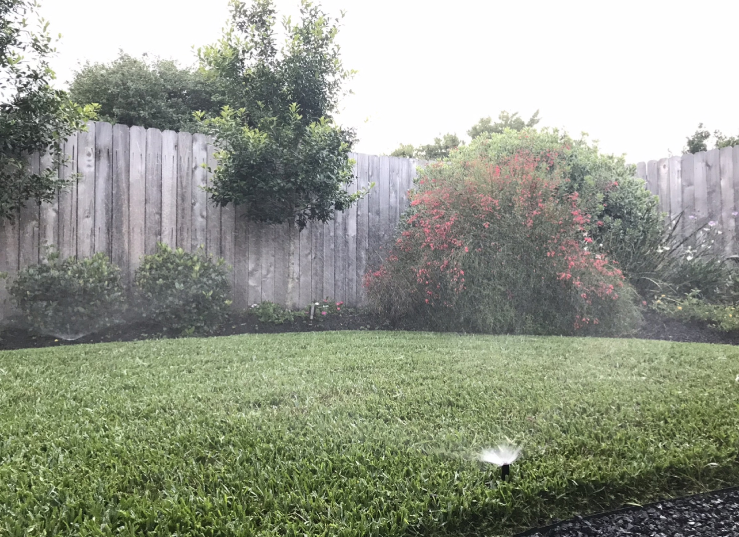 Irrigation by Danny's Landscaping