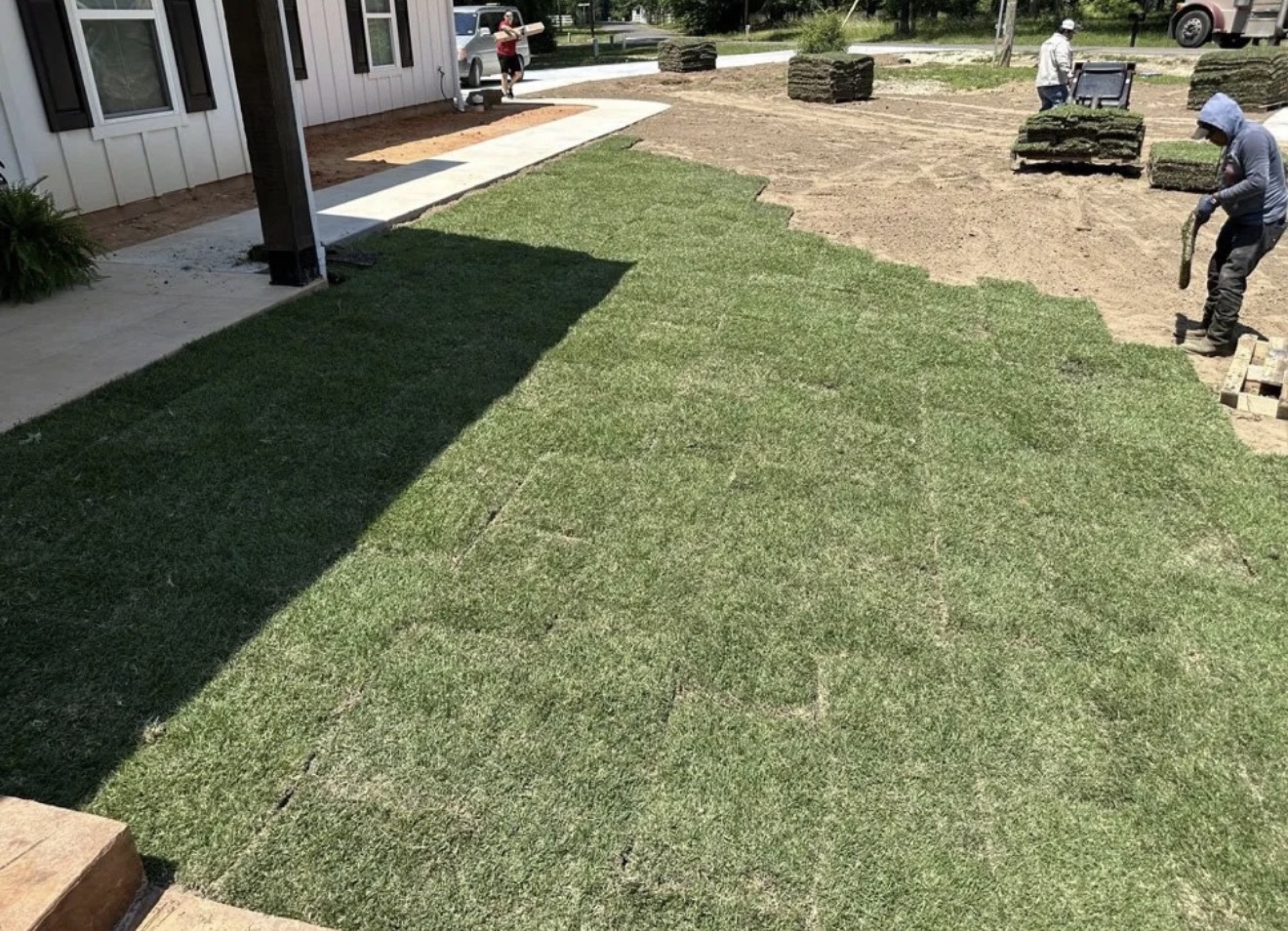 Crew laying sod on a Houston lot