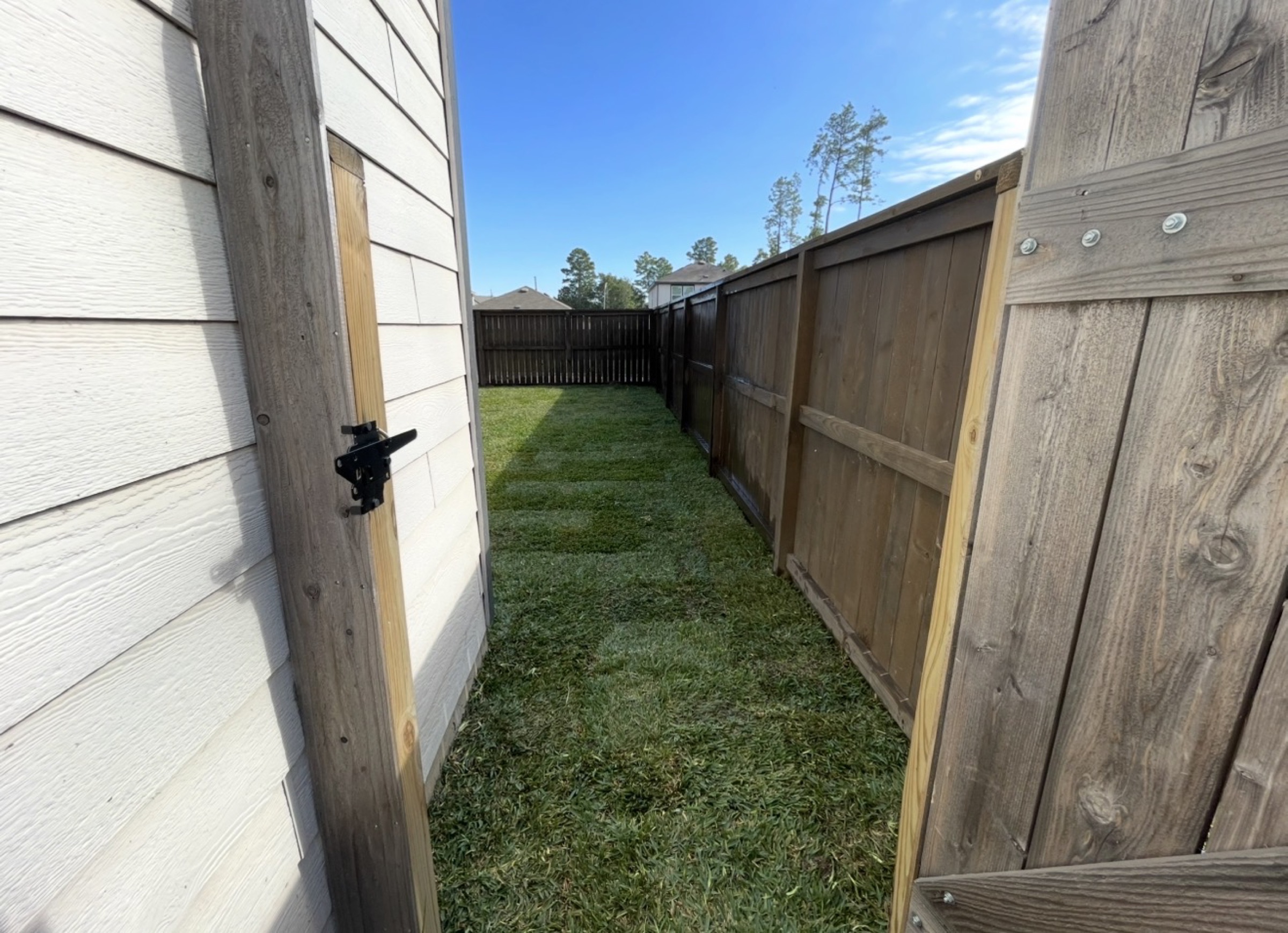 Sodded Houston side yard