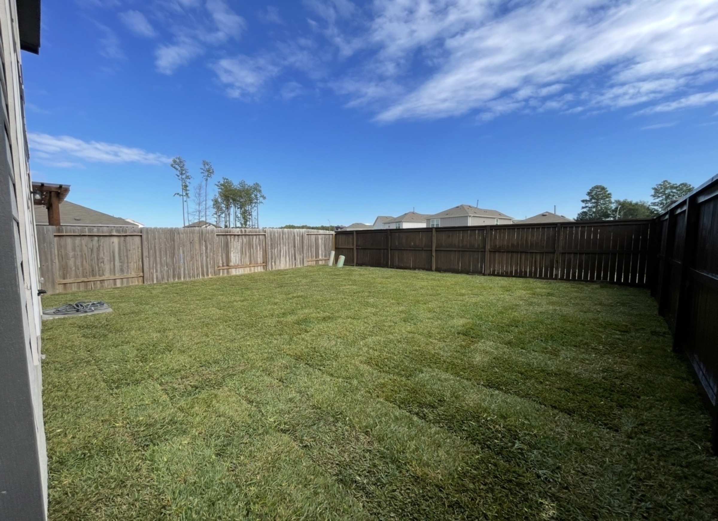 Finished Houston backyard after sod install