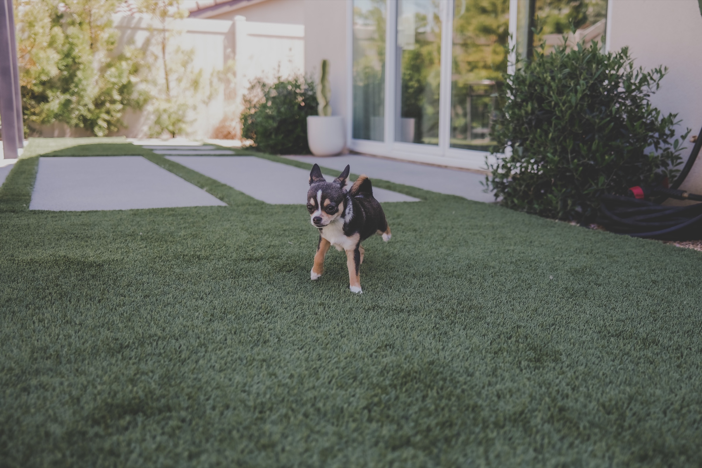 Artificial turf by Danny's Landscaping