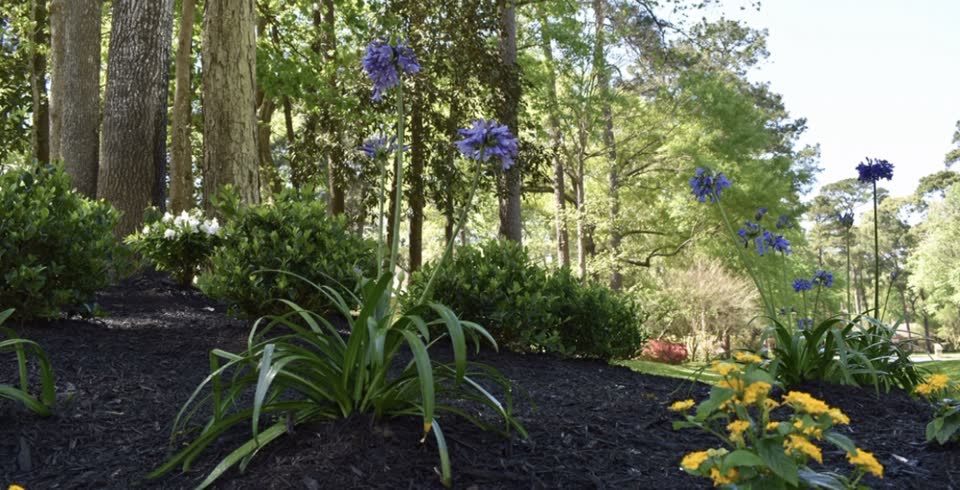 Landscaping in Houston by Danny's Landscaping