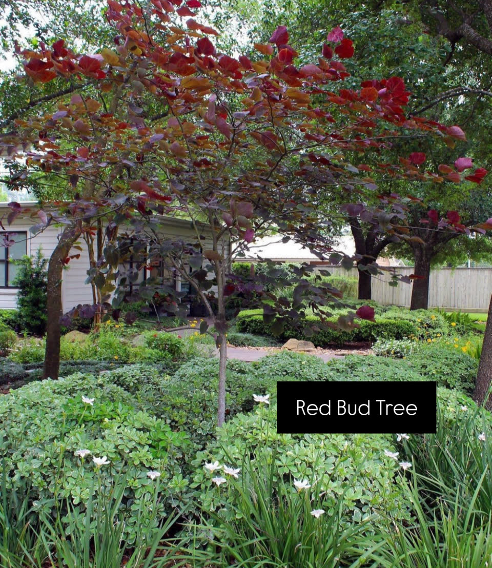 Landscaping in Houston by Danny's Landscaping