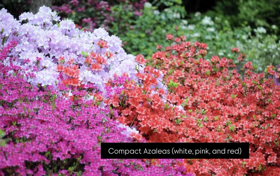 Landscaping in Houston by Danny's Landscaping