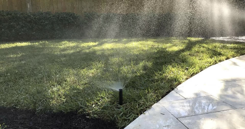 Landscaping in Houston by Danny's Landscaping