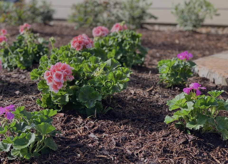 Landscaping in Houston by Danny's Landscaping