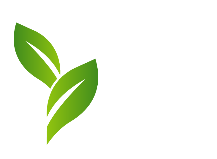 Danny's Landscaping logo featuring green leaves, symbolizing landscaping and outdoor services in Tomball.
