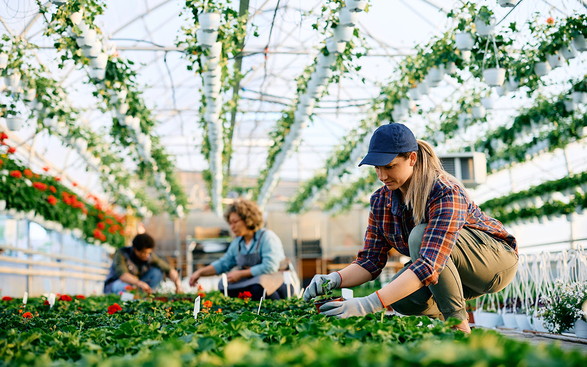 Woman tending to plants in a greenhouse, showcasing landscaping and gardening activities related to yard maintenance services.