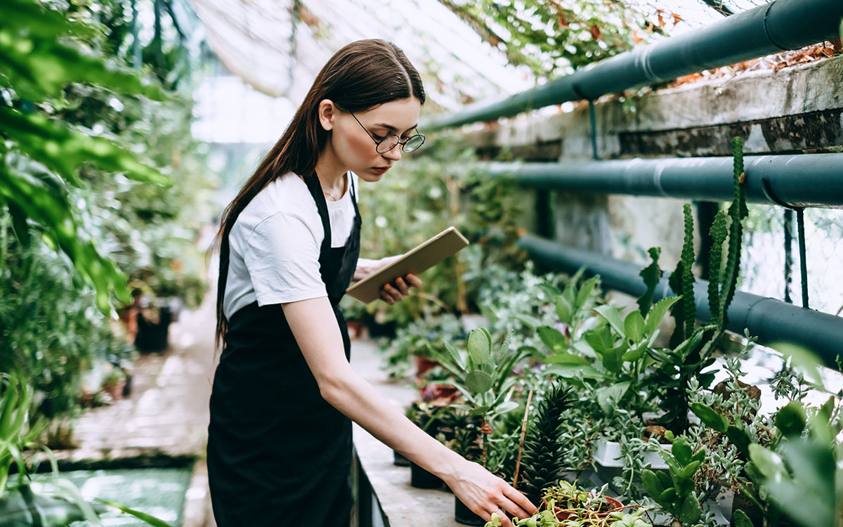 Woman in greenhouse tending to potted plants and taking notes, emphasizing landscaping and plant care services.