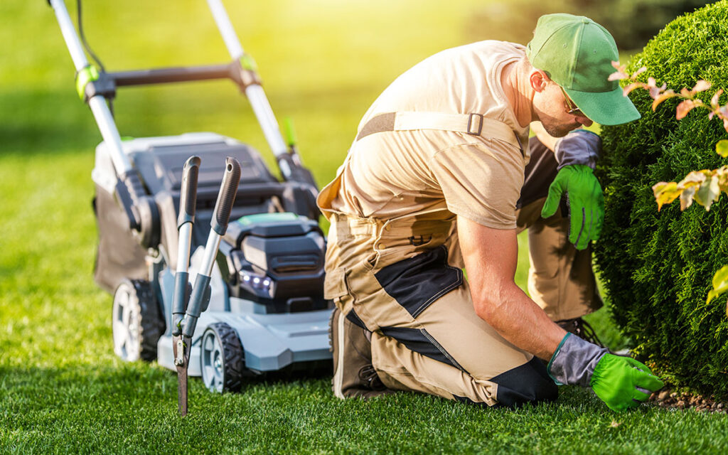 Landscaper performing yard maintenance with gardening tools near a bush in a well-kept lawn, showcasing Danny's Landscaping services.