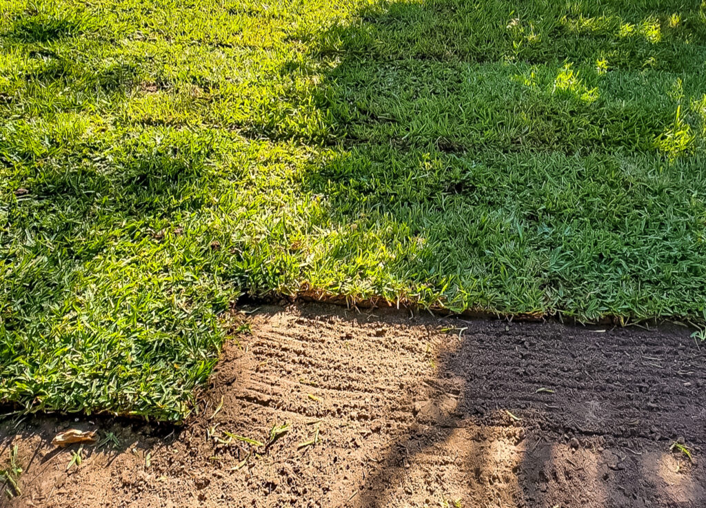 Sod installation process showcasing freshly laid sod on prepared soil, highlighting quality landscaping services tailored for Tomball properties.