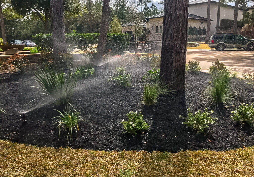 Irrigation system in landscaped garden featuring black mulch, green plants, and sprinkler system, showcasing Danny's Landscaping services for Tomball properties.
